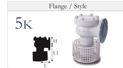 Smooth Check Valve With Rose Box