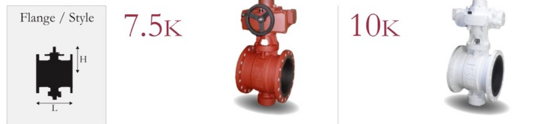 Butterfly Valve