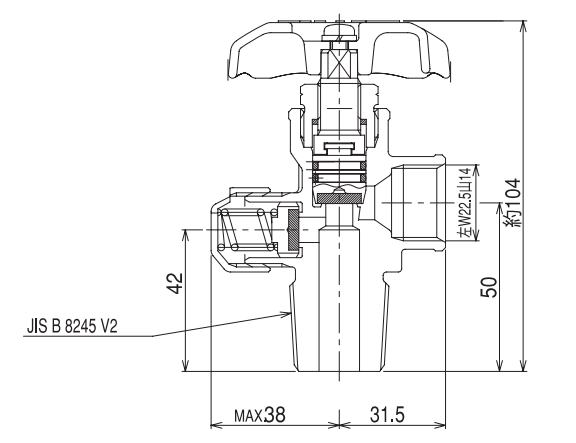  V-81-06