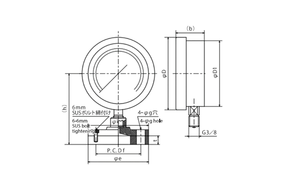 aitoukeiki DF11 Diaphragm guage( flange type) Diaphragm Guages