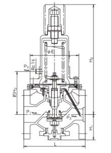 DMD31 