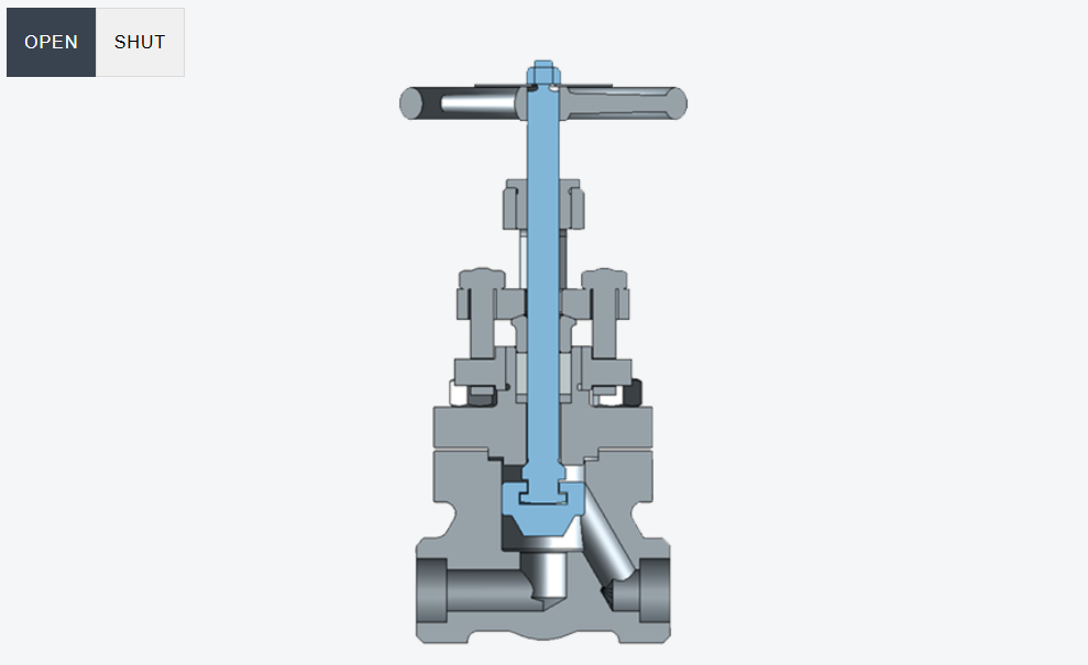 Globe Valves 
