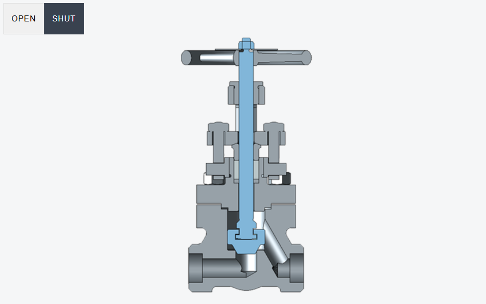 Globe Valves 

