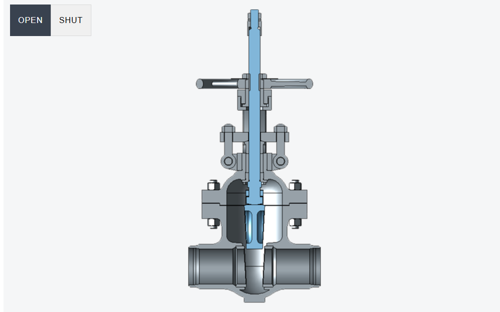  Gate Valves