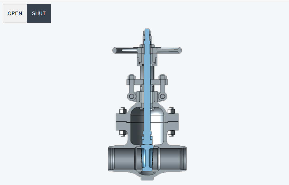  Gate Valves