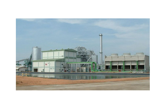 Biomass Power Generation System
