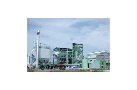 Biomass Power Generation System