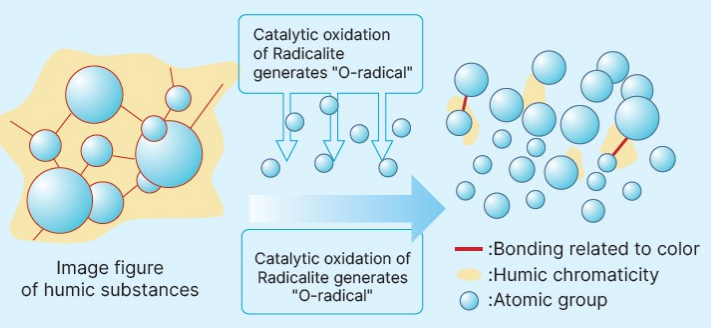 Mechanism of Color Removal